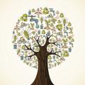 Sustainability Tree illustration.